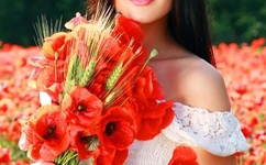 无人区卡一卡二卡网站